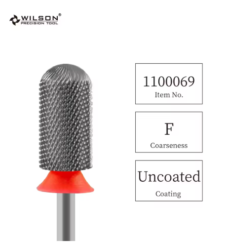 1100069