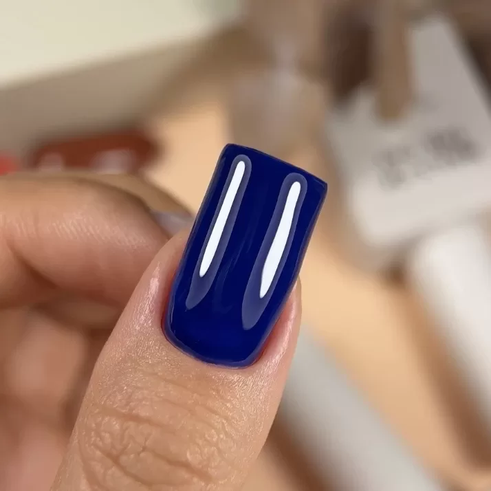 NAILSOFTHEDAY Gel polish Indigo 261