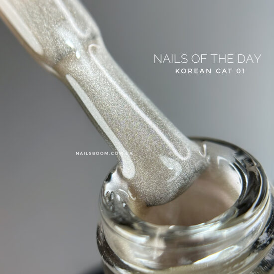 NAILSOFTHEDAY Korean cat eye 01