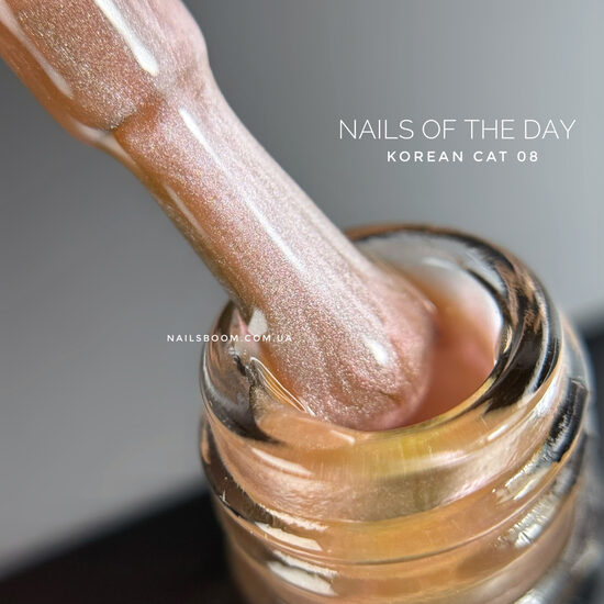 NAILSOFTHEDAY Korean cat eye 08