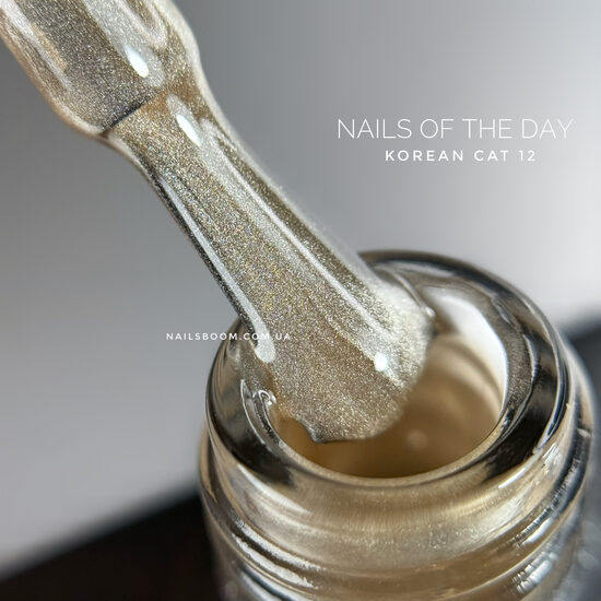 NAILSOFTHEDAY Korean cat eye 12