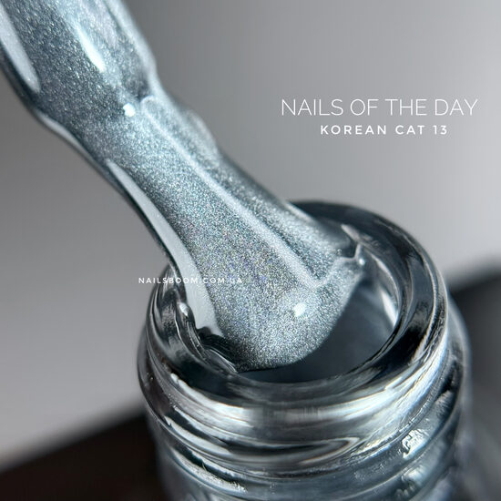 NAILSOFTHEDAY Korean cat eye 13
