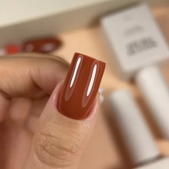 NAILSOFTHEDAY Gel polish Terracotta 108